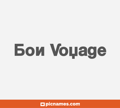 Bon Voyage